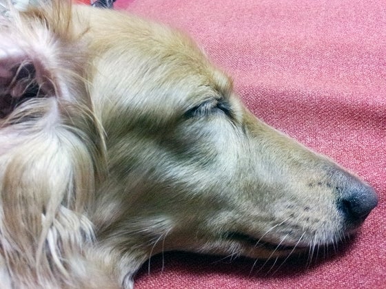 鉄　は　熱　い　う　ち　に　打　て　　　　(*ﾟ∀ﾟ)=3ﾑｯﾊｰ