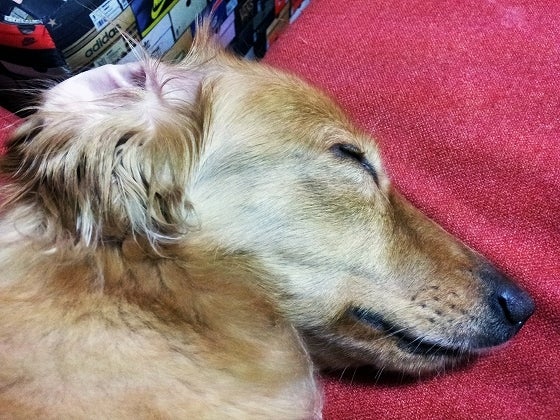 鉄　は　熱　い　う　ち　に　打　て　　　　(*ﾟ∀ﾟ)=3ﾑｯﾊｰ