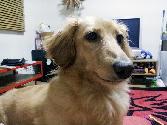 鉄　は　熱　い　う　ち　に　打　て　　　　(*ﾟ∀ﾟ)=3ﾑｯﾊｰ