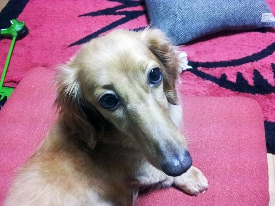 鉄　は　熱　い　う　ち　に　打　て　　　　(*ﾟ∀ﾟ)=3ﾑｯﾊｰ