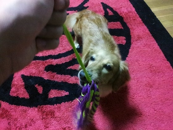 鉄　は　熱　い　う　ち　に　打　て　　　　(*ﾟ∀ﾟ)=3ﾑｯﾊｰ