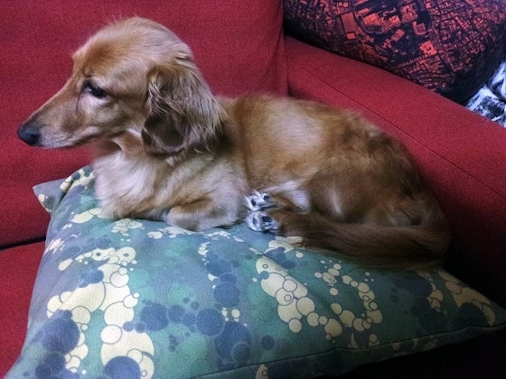 鉄　は　熱　い　う　ち　に　打　て　　　　(*ﾟ∀ﾟ)=3ﾑｯﾊｰ