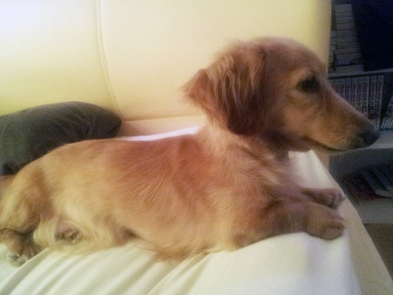 鉄　は　熱　い　う　ち　に　打　て　　　　(*ﾟ∀ﾟ)=3ﾑｯﾊｰ