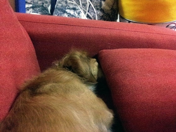 鉄　は　熱　い　う　ち　に　打　て　　　　(*ﾟ∀ﾟ)=3ﾑｯﾊｰ