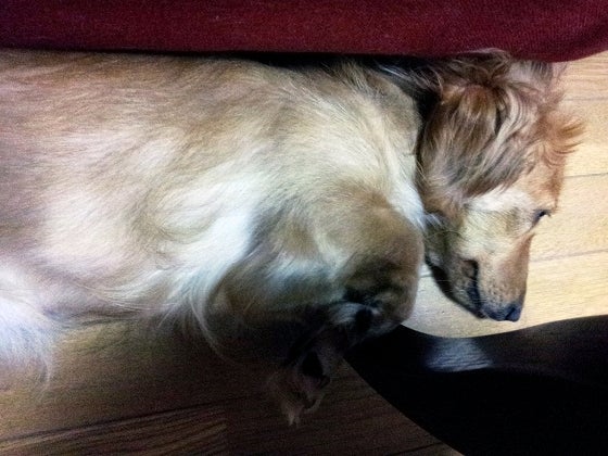 鉄　は　熱　い　う　ち　に　打　て　　　　(*ﾟ∀ﾟ)=3ﾑｯﾊｰ