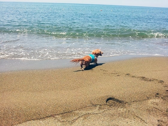 鉄　は　熱　い　う　ち　に　打　て　　　　(*ﾟ∀ﾟ)=3ﾑｯﾊｰ