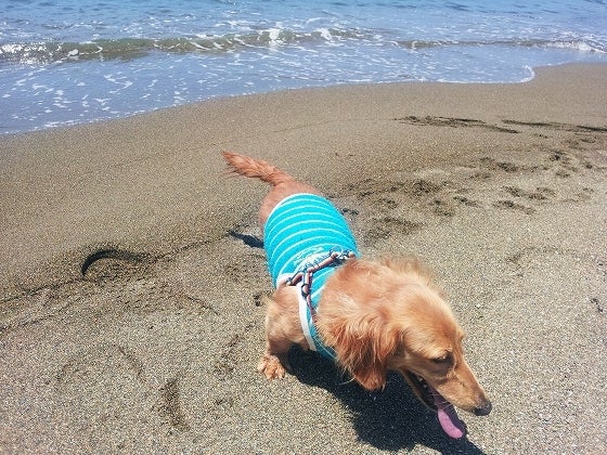 鉄　は　熱　い　う　ち　に　打　て　　　　(*ﾟ∀ﾟ)=3ﾑｯﾊｰ