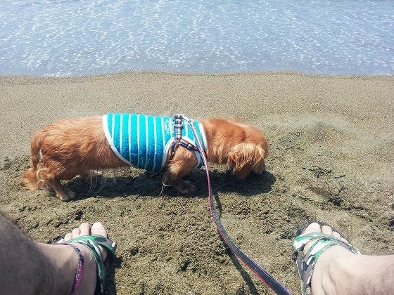 鉄　は　熱　い　う　ち　に　打　て　　　　(*ﾟ∀ﾟ)=3ﾑｯﾊｰ