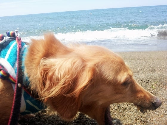 鉄　は　熱　い　う　ち　に　打　て　　　　(*ﾟ∀ﾟ)=3ﾑｯﾊｰ