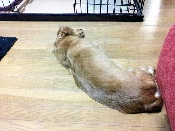 鉄　は　熱　い　う　ち　に　打　て　　　　(*ﾟ∀ﾟ)=3ﾑｯﾊｰ