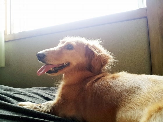 鉄　は　熱　い　う　ち　に　打　て　　　　(*ﾟ∀ﾟ)=3ﾑｯﾊｰ