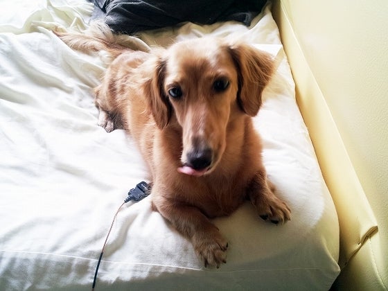 鉄　は　熱　い　う　ち　に　打　て　　　　(*ﾟ∀ﾟ)=3ﾑｯﾊｰ