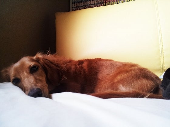 鉄　は　熱　い　う　ち　に　打　て　　　　(*ﾟ∀ﾟ)=3ﾑｯﾊｰ