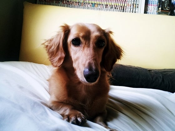 鉄　は　熱　い　う　ち　に　打　て　　　　(*ﾟ∀ﾟ)=3ﾑｯﾊｰ