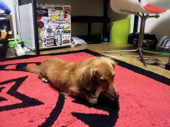 鉄　は　熱　い　う　ち　に　打　て　　　　(*ﾟ∀ﾟ)=3ﾑｯﾊｰ