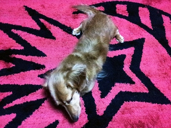 鉄　は　熱　い　う　ち　に　打　て　　　　(*ﾟ∀ﾟ)=3ﾑｯﾊｰ