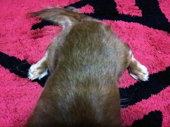 鉄　は　熱　い　う　ち　に　打　て　　　　(*ﾟ∀ﾟ)=3ﾑｯﾊｰ