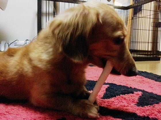 鉄　は　熱　い　う　ち　に　打　て　　　　(*ﾟ∀ﾟ)=3ﾑｯﾊｰ