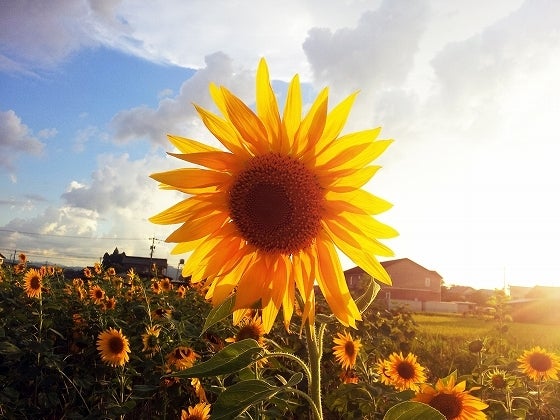 鉄　は　熱　い　う　ち　に　打　て　　　　(*ﾟ∀ﾟ)=3ﾑｯﾊｰ