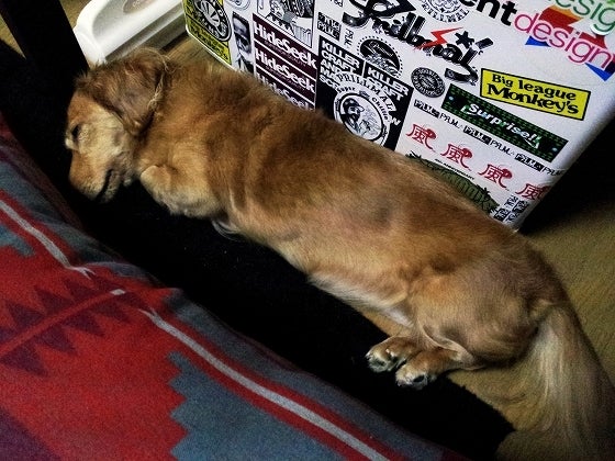 鉄　は　熱　い　う　ち　に　打　て　　　　(*ﾟ∀ﾟ)=3ﾑｯﾊｰ