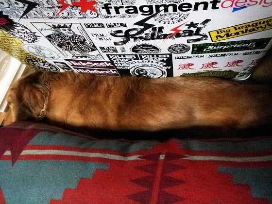 鉄　は　熱　い　う　ち　に　打　て　　　　(*ﾟ∀ﾟ)=3ﾑｯﾊｰ