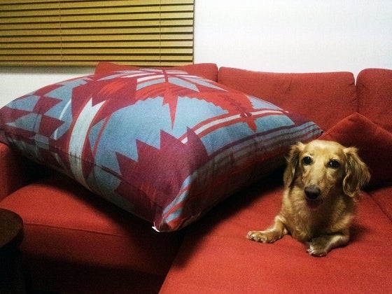 鉄　は　熱　い　う　ち　に　打　て　　　　(*ﾟ∀ﾟ)=3ﾑｯﾊｰ