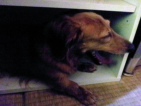 鉄　は　熱　い　う　ち　に　打　て　　　　(*ﾟ∀ﾟ)=3ﾑｯﾊｰ