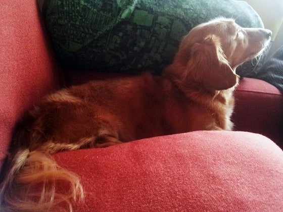 鉄　は　熱　い　う　ち　に　打　て　　　　(*ﾟ∀ﾟ)=3ﾑｯﾊｰ