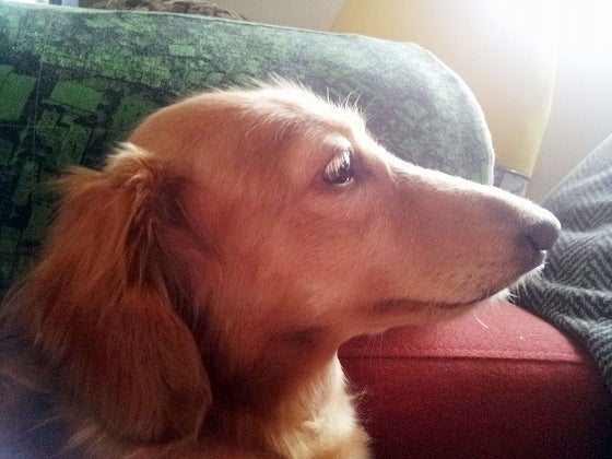 鉄　は　熱　い　う　ち　に　打　て　　　　(*ﾟ∀ﾟ)=3ﾑｯﾊｰ