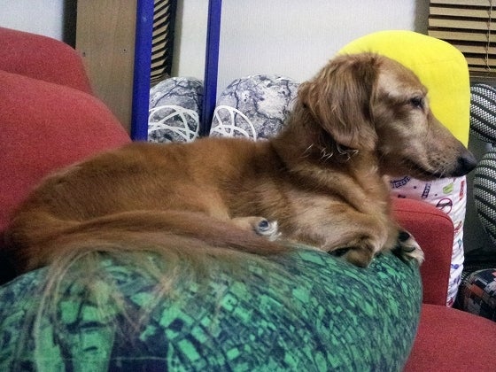 鉄　は　熱　い　う　ち　に　打　て　　　　(*ﾟ∀ﾟ)=3ﾑｯﾊｰ