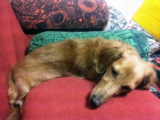 鉄　は　熱　い　う　ち　に　打　て　　　　(*ﾟ∀ﾟ)=3ﾑｯﾊｰ