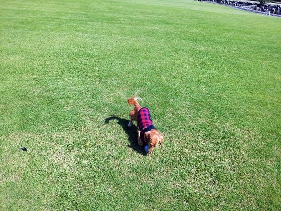 鉄　は　熱　い　う　ち　に　打　て　　　　(*ﾟ∀ﾟ)=3ﾑｯﾊｰ