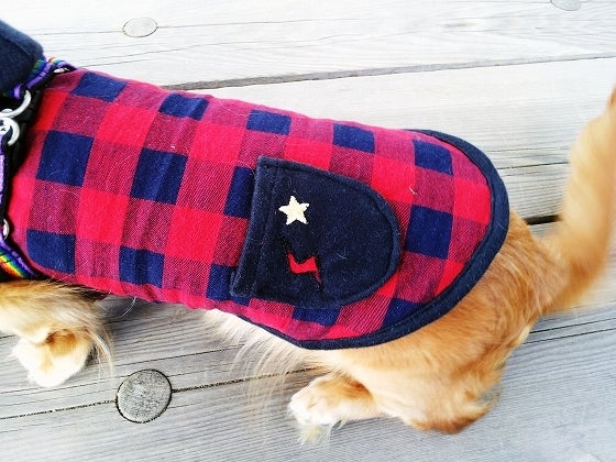 鉄　は　熱　い　う　ち　に　打　て　　　　(*ﾟ∀ﾟ)=3ﾑｯﾊｰ