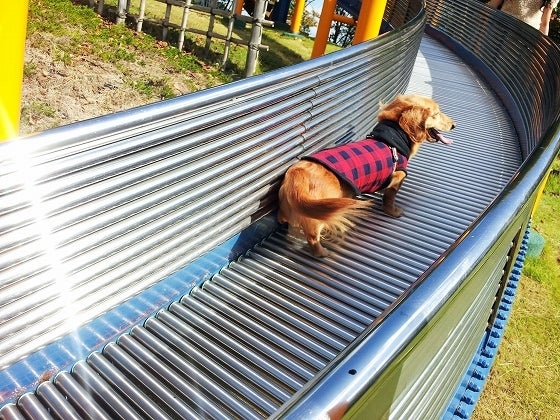 鉄　は　熱　い　う　ち　に　打　て　　　　(*ﾟ∀ﾟ)=3ﾑｯﾊｰ