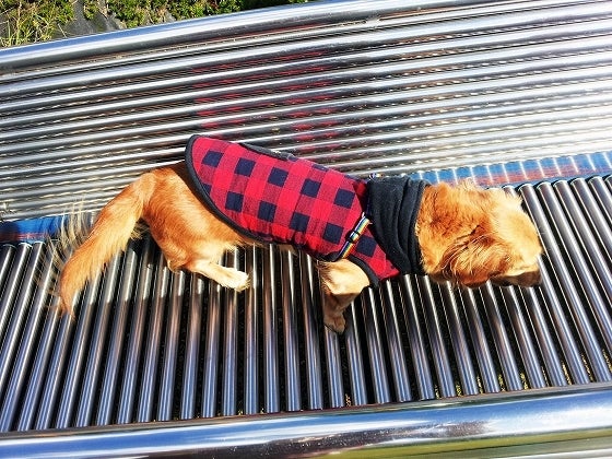 鉄　は　熱　い　う　ち　に　打　て　　　　(*ﾟ∀ﾟ)=3ﾑｯﾊｰ