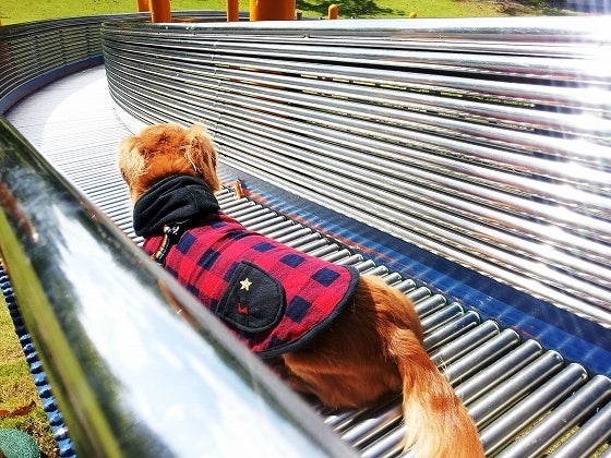 鉄　は　熱　い　う　ち　に　打　て　　　　(*ﾟ∀ﾟ)=3ﾑｯﾊｰ