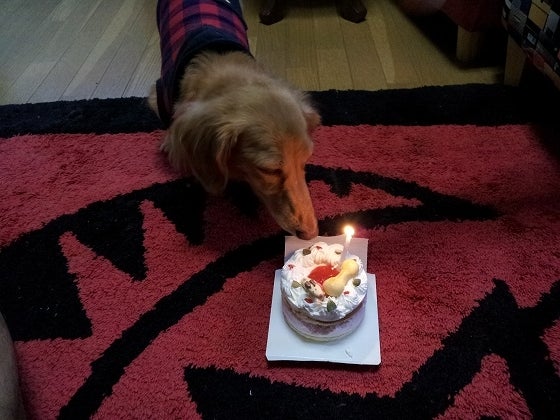 鉄　は　熱　い　う　ち　に　打　て　　　　(*ﾟ∀ﾟ)=3ﾑｯﾊｰ