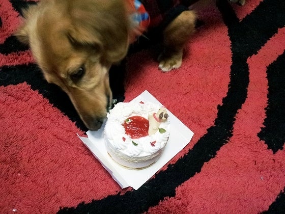 鉄　は　熱　い　う　ち　に　打　て　　　　(*ﾟ∀ﾟ)=3ﾑｯﾊｰ