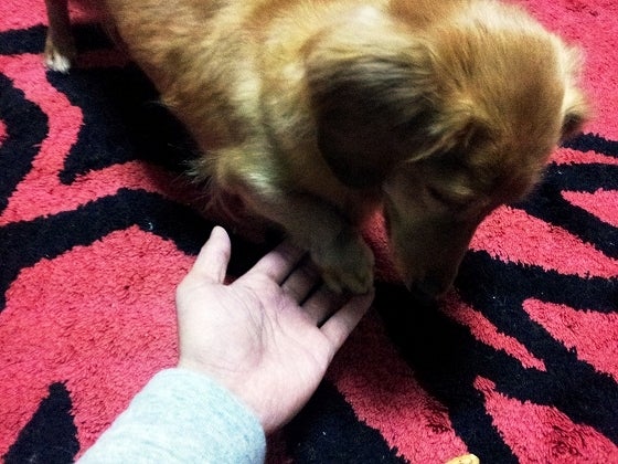 鉄　は　熱　い　う　ち　に　打　て　　　　(*ﾟ∀ﾟ)=3ﾑｯﾊｰ