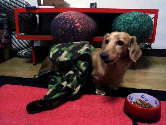 鉄　は　熱　い　う　ち　に　打　て　　　　(*ﾟ∀ﾟ)=3ﾑｯﾊｰ