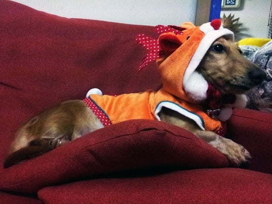 鉄　は　熱　い　う　ち　に　打　て　　　　(*ﾟ∀ﾟ)=3ﾑｯﾊｰ