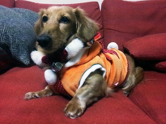 鉄　は　熱　い　う　ち　に　打　て　　　　(*ﾟ∀ﾟ)=3ﾑｯﾊｰ