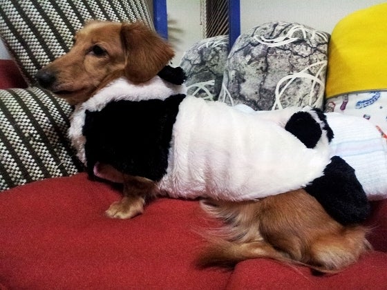 鉄　は　熱　い　う　ち　に　打　て　　　　(*ﾟ∀ﾟ)=3ﾑｯﾊｰ