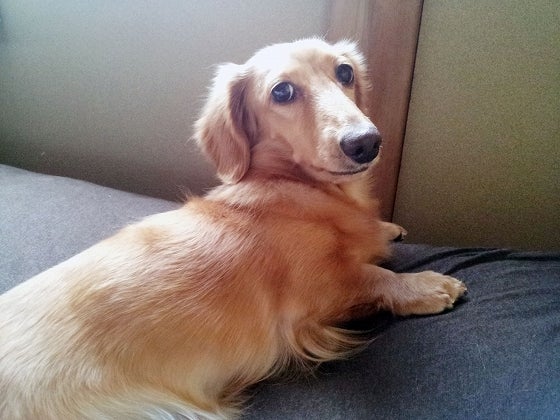 鉄　は　熱　い　う　ち　に　打　て　　　　(*ﾟ∀ﾟ)=3ﾑｯﾊｰ