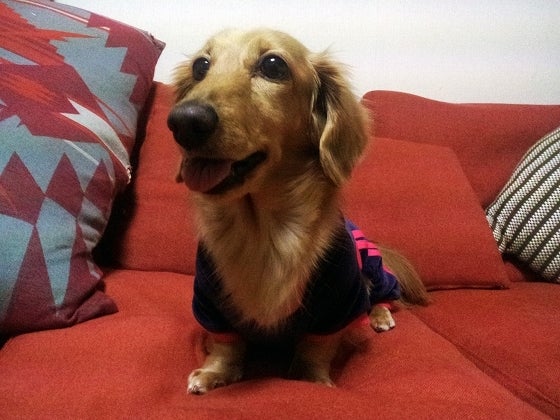 鉄　は　熱　い　う　ち　に　打　て　　　　(*ﾟ∀ﾟ)=3ﾑｯﾊｰ