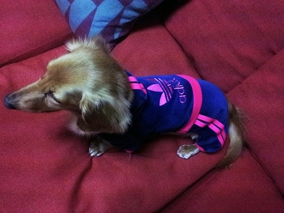 鉄　は　熱　い　う　ち　に　打　て　　　　(*ﾟ∀ﾟ)=3ﾑｯﾊｰ