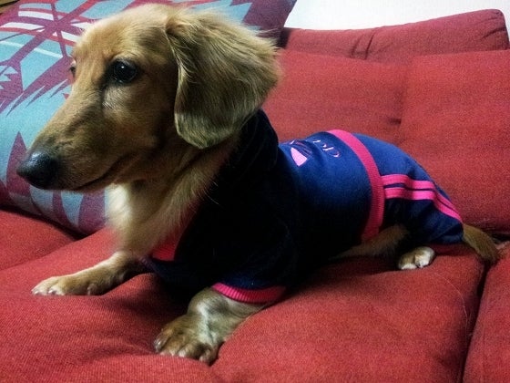 鉄　は　熱　い　う　ち　に　打　て　　　　(*ﾟ∀ﾟ)=3ﾑｯﾊｰ