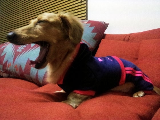 鉄　は　熱　い　う　ち　に　打　て　　　　(*ﾟ∀ﾟ)=3ﾑｯﾊｰ