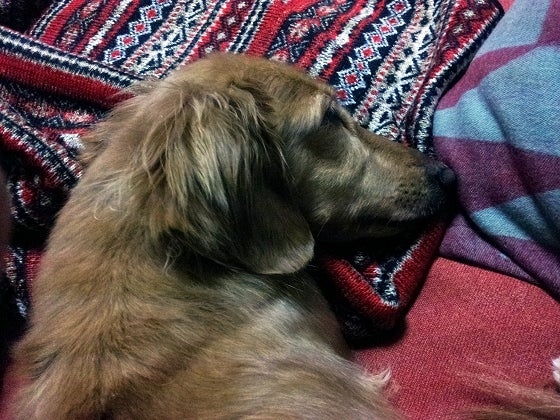 鉄　は　熱　い　う　ち　に　打　て　　　　(*ﾟ∀ﾟ)=3ﾑｯﾊｰ