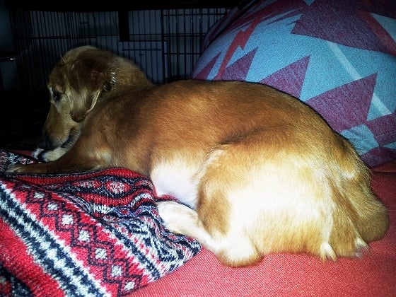 鉄　は　熱　い　う　ち　に　打　て　　　　(*ﾟ∀ﾟ)=3ﾑｯﾊｰ